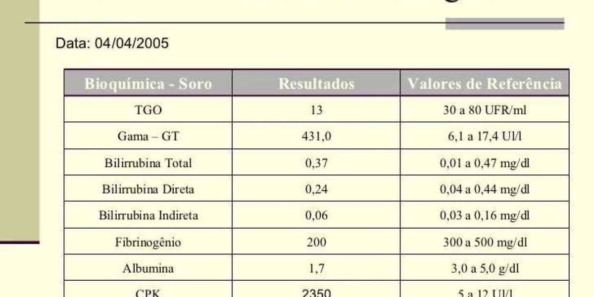 Cystatin C and Iris: Advances in the Evaluation of Kidney Function in Critically Ill Dog