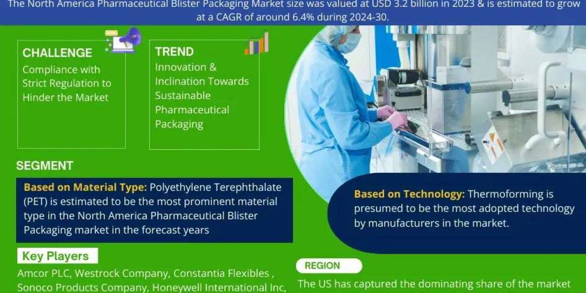 North America Pharmaceutical Blister Packaging Market Analysis by Trends, Size, Share, Growth Opportunities, and Top Pla