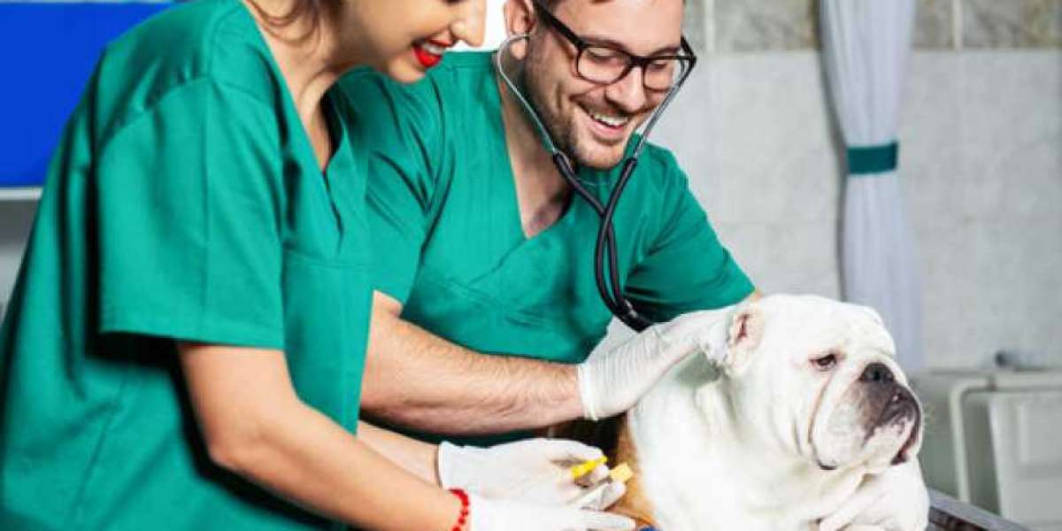 Hipertiroidismo felino: diagnostico y tratamiento Máster de Veterinaria Formación veterinaria de alto nivel.