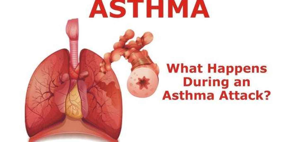 What Happens to Lung Function during Asthma Attack?