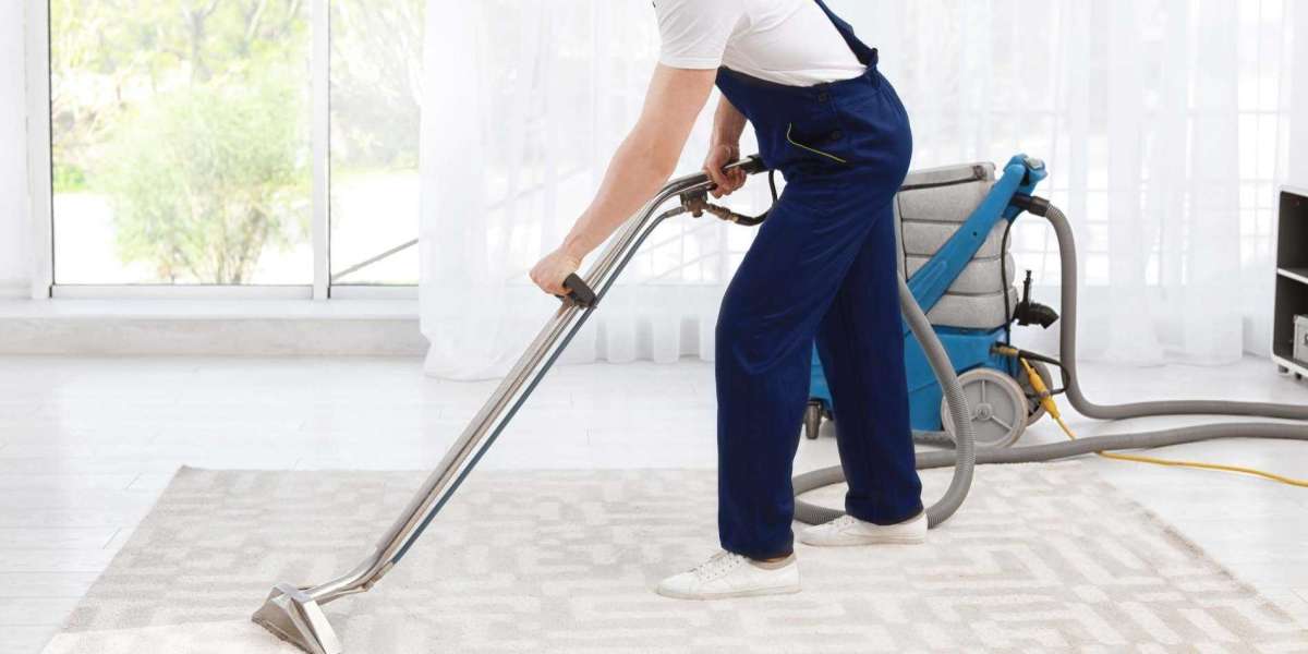 Professional Carpet Cleaning: Key to a Clean and Beautiful Home