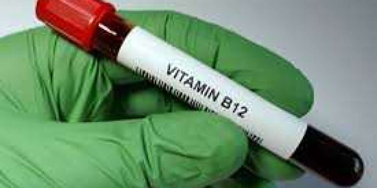 Understanding Vitamin B12 Test Price and Its Importance