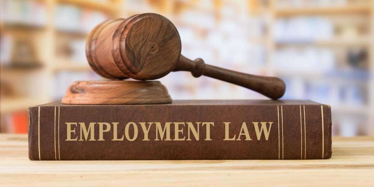 Workplace Challenges: The Importance of an Employment Lawyer