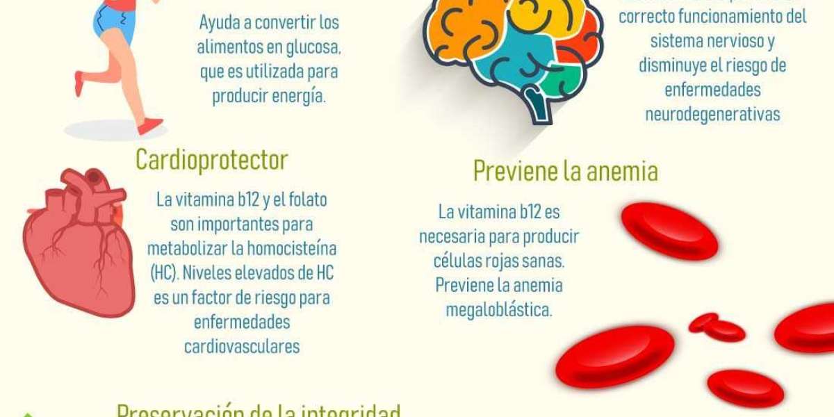 Para qué sirve el romero: propiedades y 5 beneficios