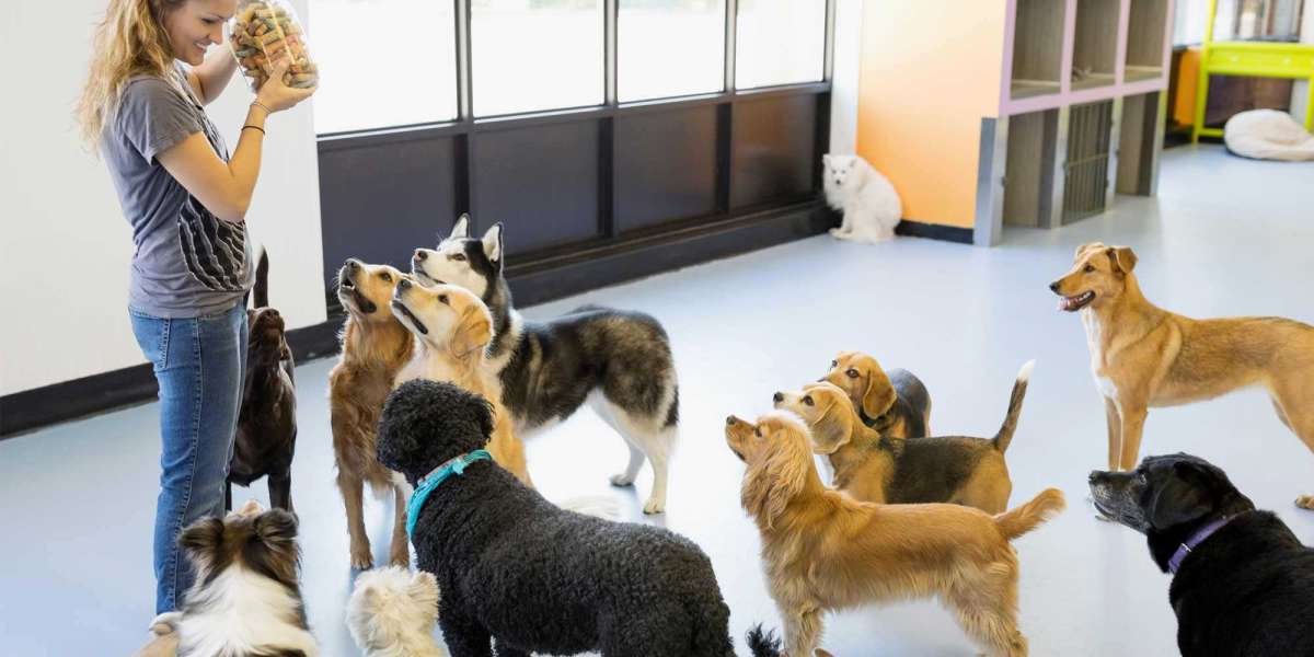 How Lakeview Dog Boarding Provides a Home Away from Home for Your Dog