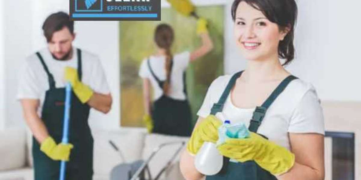 Professional Mould Cleaning Services Sydney Life Easier