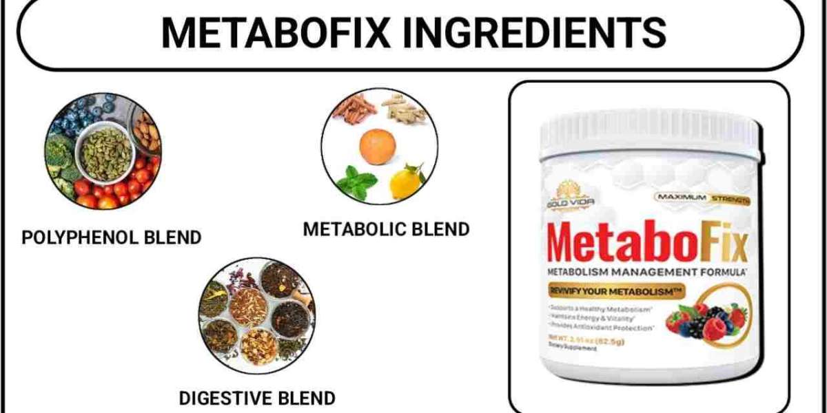 MetaboFix: Are These Capsules Worth the Hype?