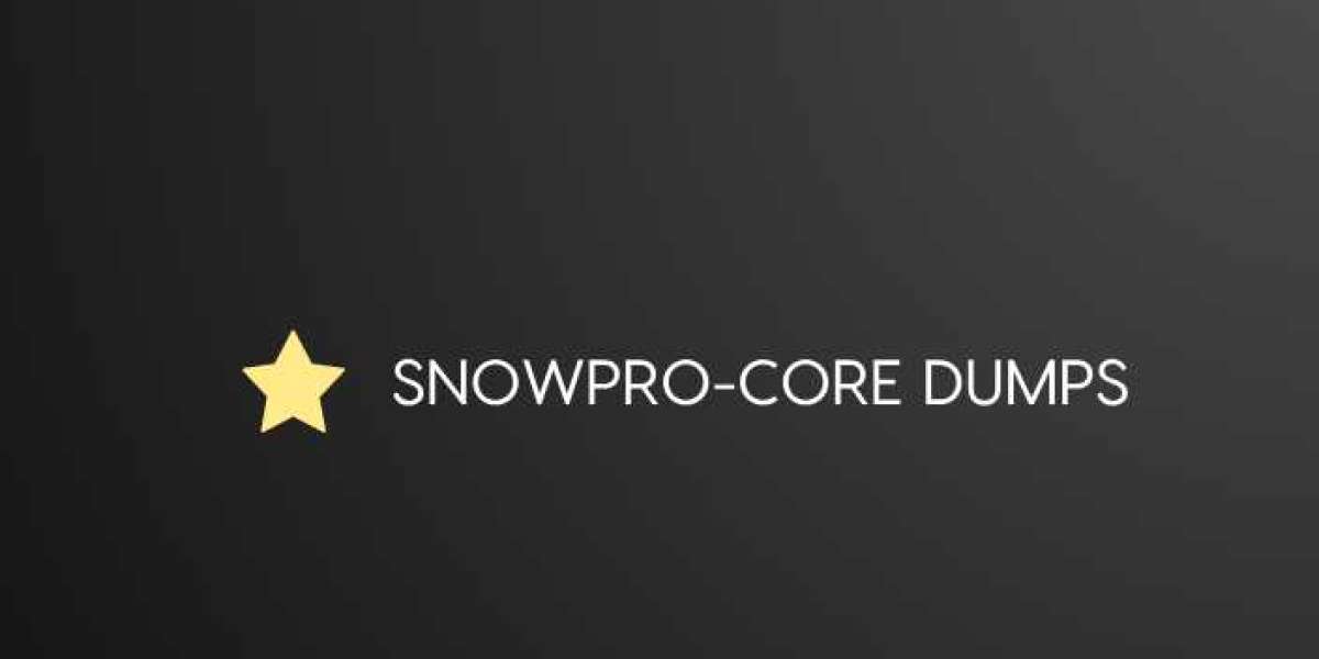 How SnowPro-Core Exam Dumps Offer Value for Money