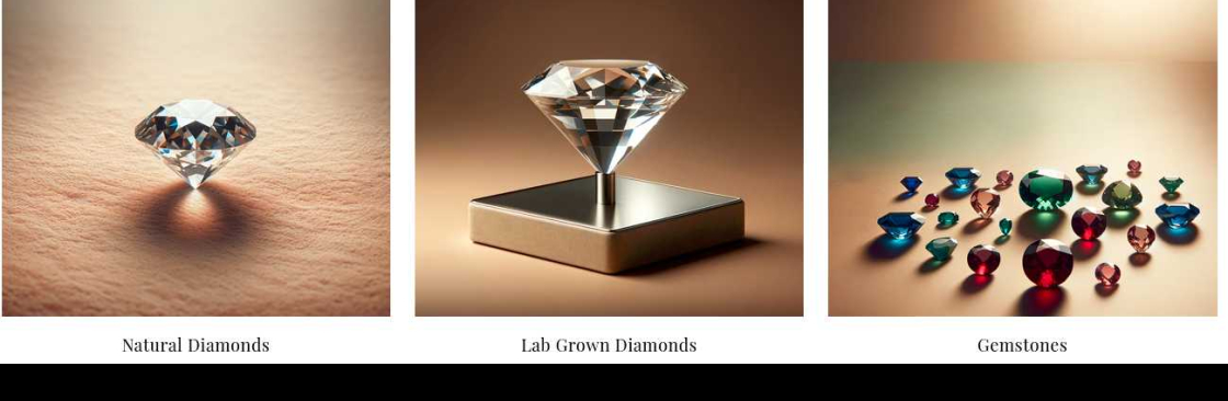 The Diamond Club Cover Image