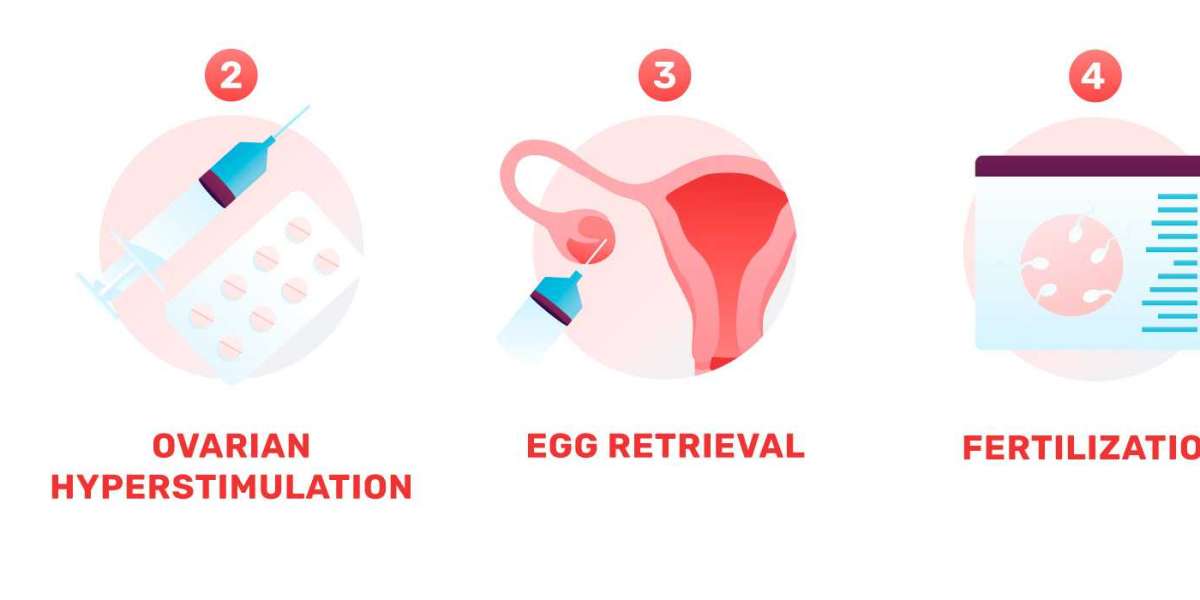 Why Choose Fertility Centres in Agroha? Understanding IVF Treatment in Agroha