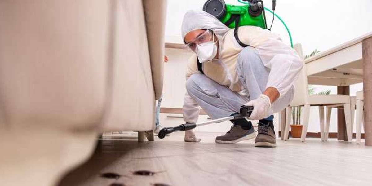 Professional Bed Bugs Control in Manchester – Fast and Reliable Solutions