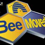 bee moved Profile Picture